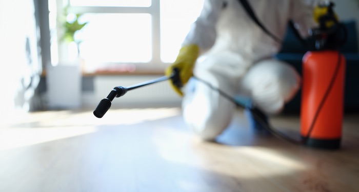 person fumigating a bedroom