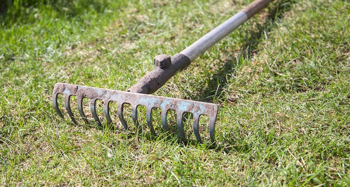 relaying lawn with rolls of turf