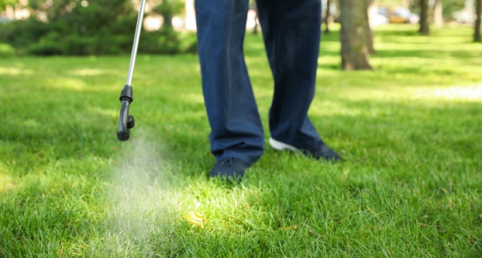 person treating a lawn